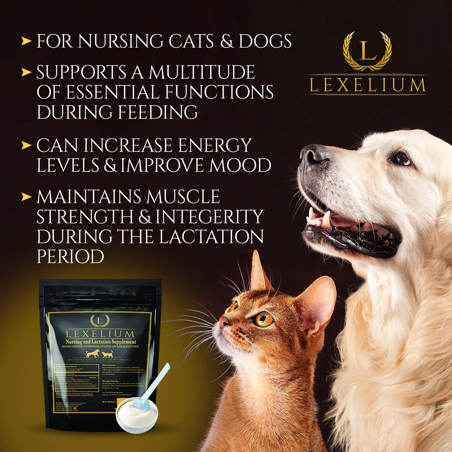 Nursing Vitamins and Supplements for Dogs and Cats